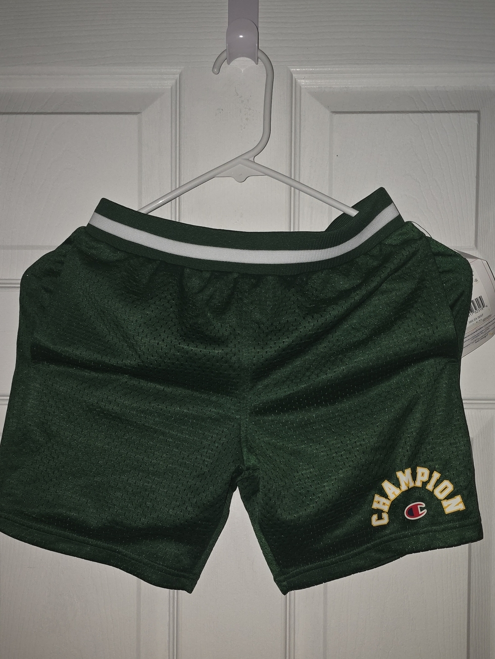 Champion Men's Dark Green Mesh Athletic Shorts with White Stripe
